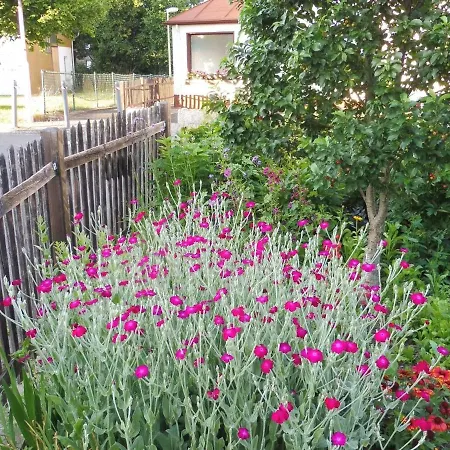 With Terrace In The Garden *