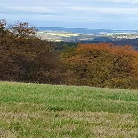 Apartment With Terrace In The Garden *