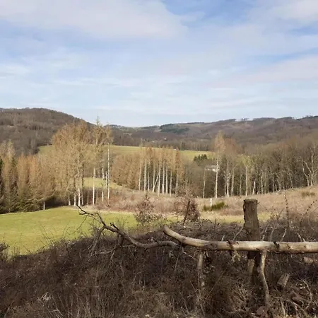 With Terrace In The Garden Apartment *