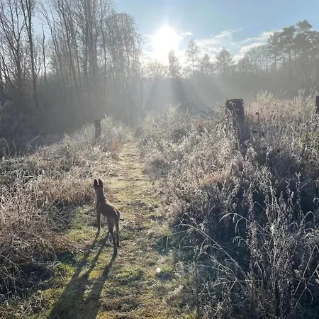 With Terrace In The Garden Apartment Pracht
