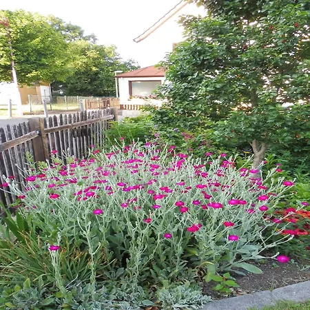 With Terrace In The Garden * Pracht