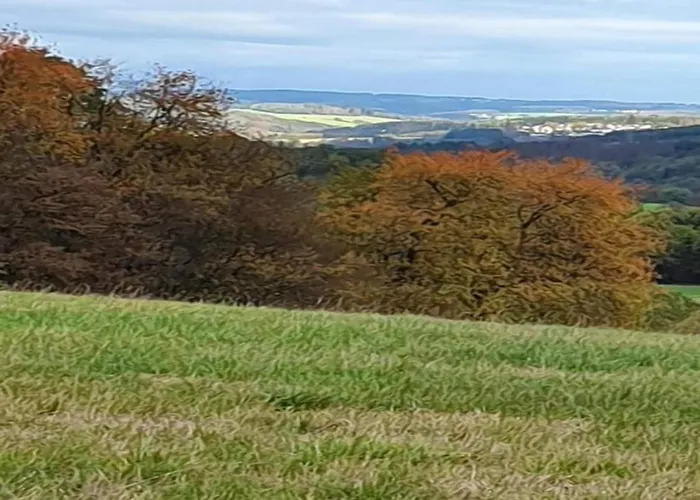 דירה With Terrace In The Garden *