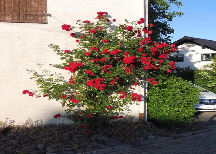 With Terrace In The Garden *