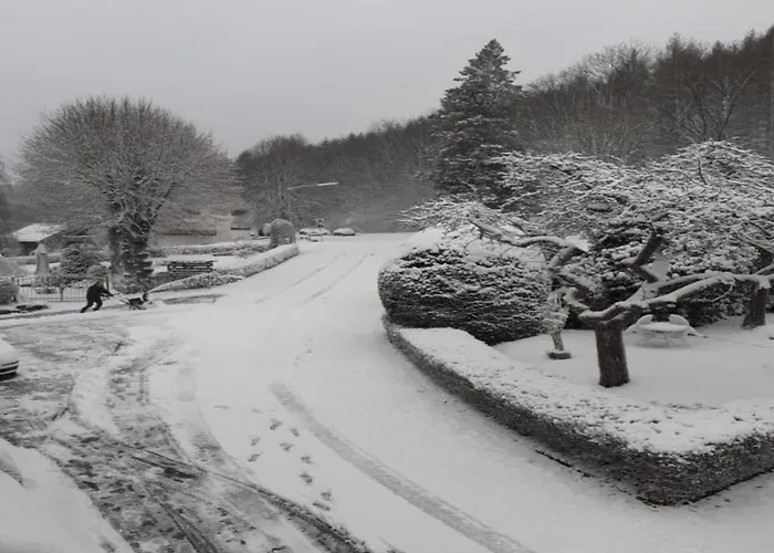 With Terrace In The Garden דירה *