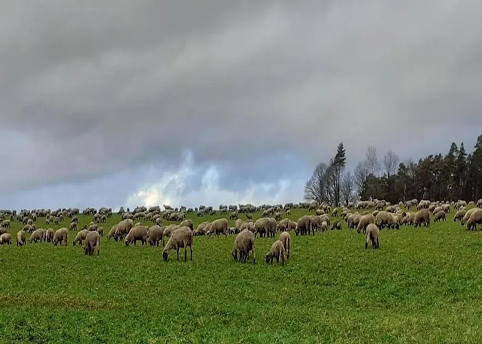 With Terrace In The Garden דירה *