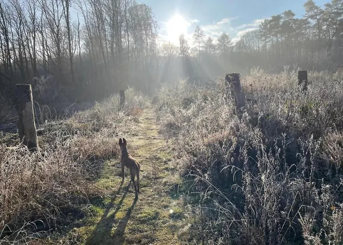With Terrace In The Garden דירה Pracht