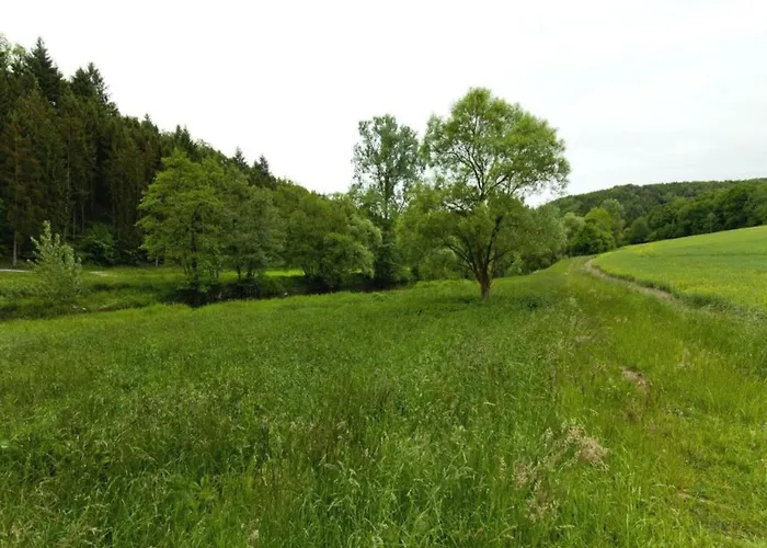 With Terrace In The Garden *